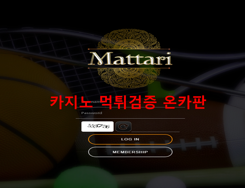 마타리 먹튀