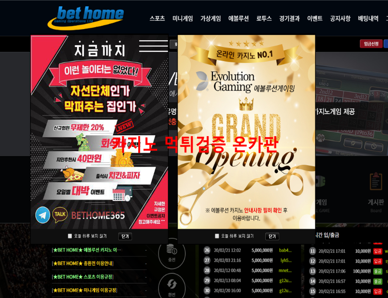 벳홈 먹튀