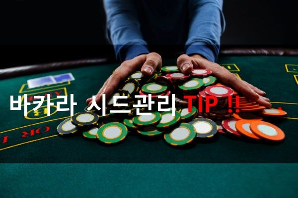 온라인카지노