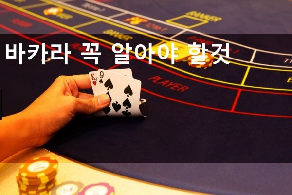 카지노사이트