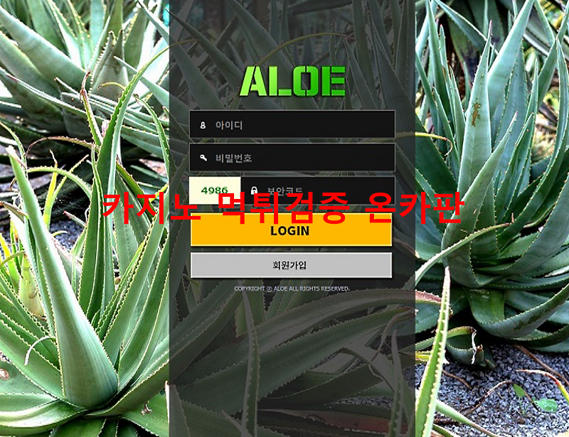 알로에 먹튀