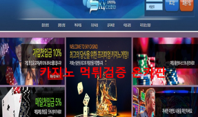 스카이 먹튀