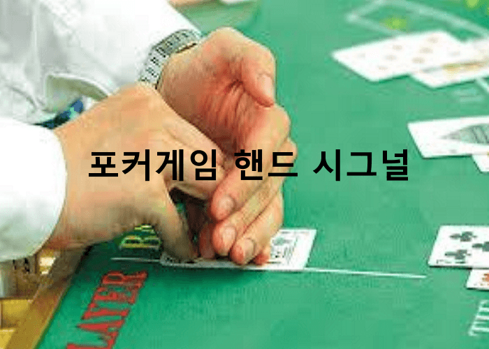 카지노