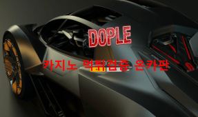 도플먹튀
