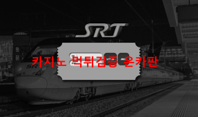 SRT먹튀