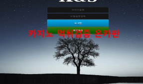 케이엔에스먹튀