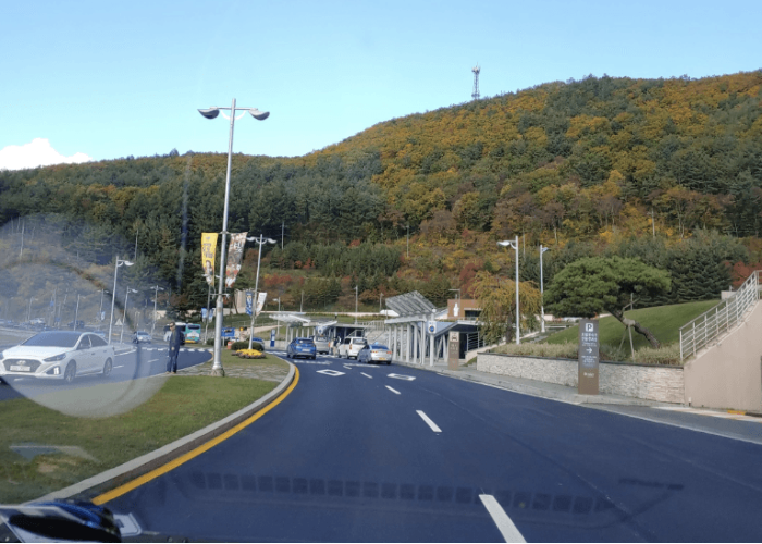 강원랜드