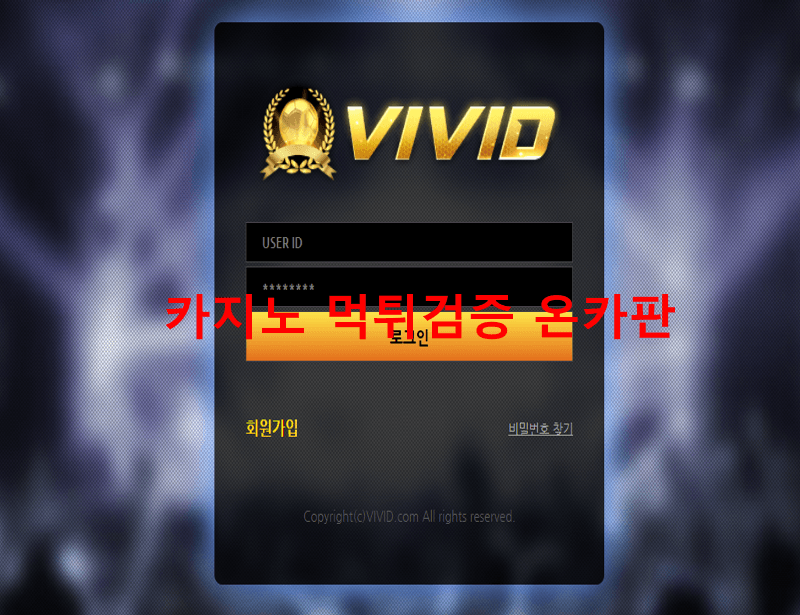 비비드먹튀