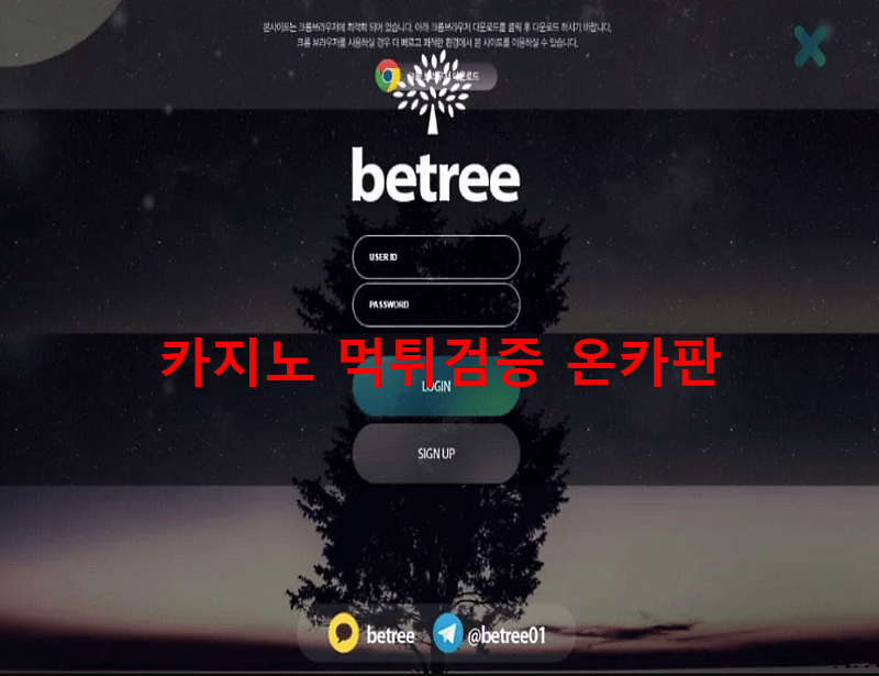 비트리먹튀