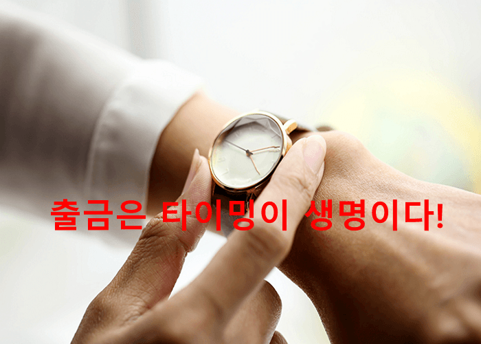 카지노사이트
