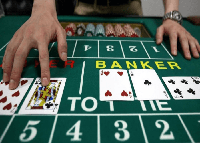 바카라