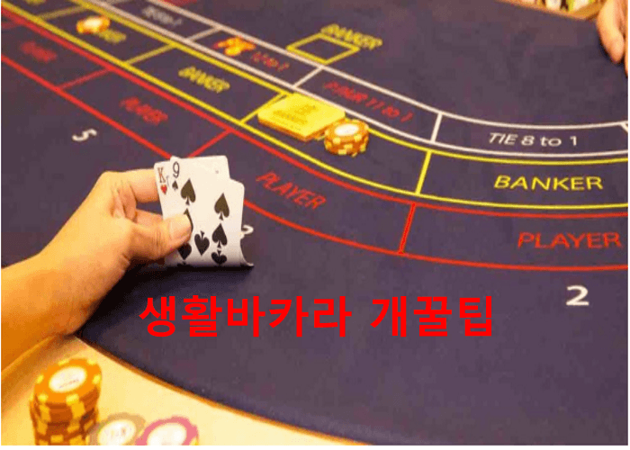생활바카라
