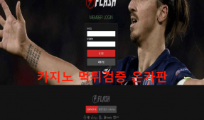 플래쉬먹튀