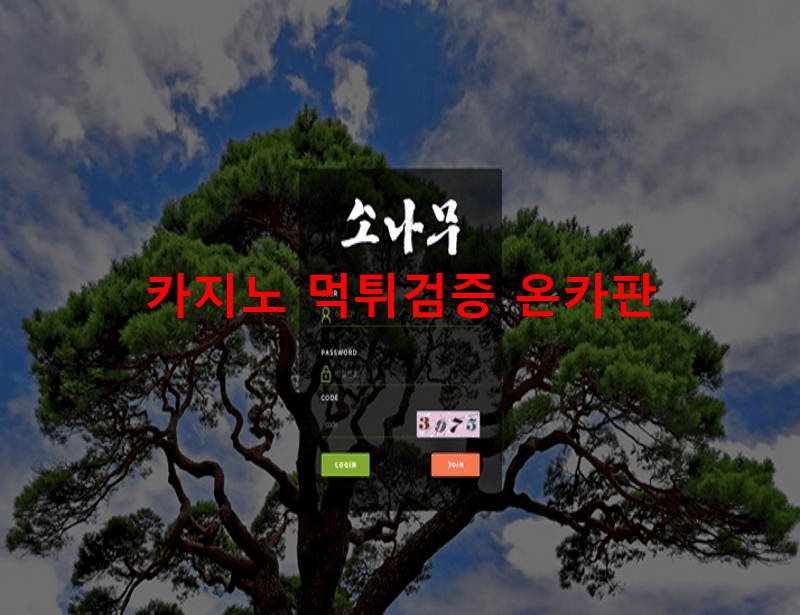 소나무먹튀