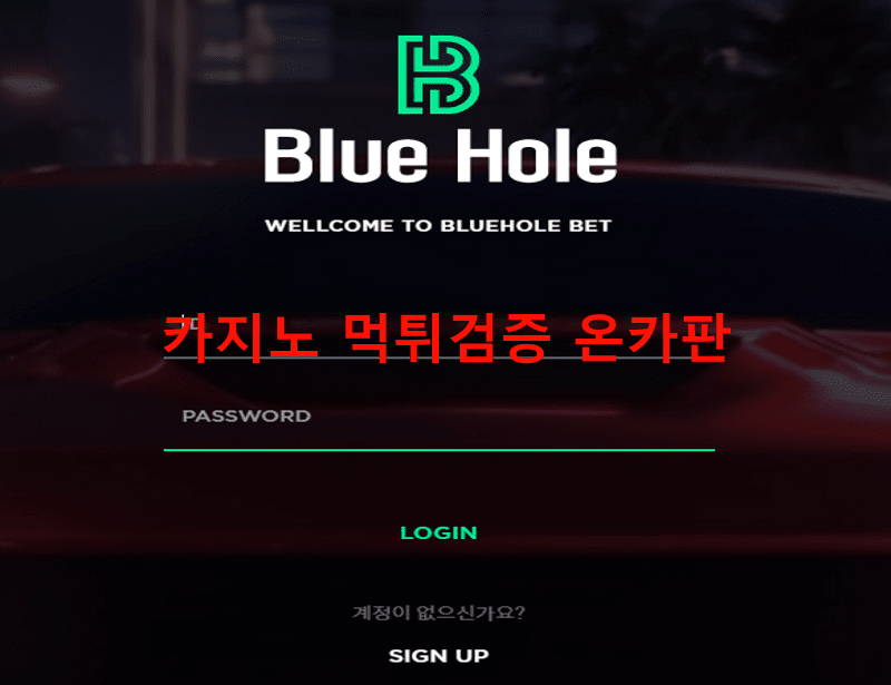 블루홀먹튀