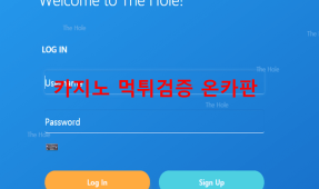 더홀먹튀
