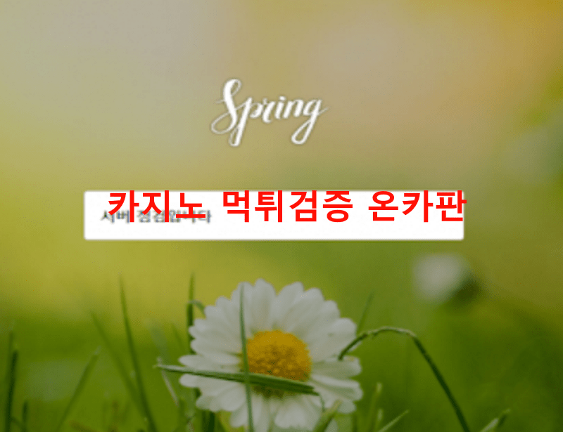 봄먹튀