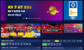 브이오벳먹튀
