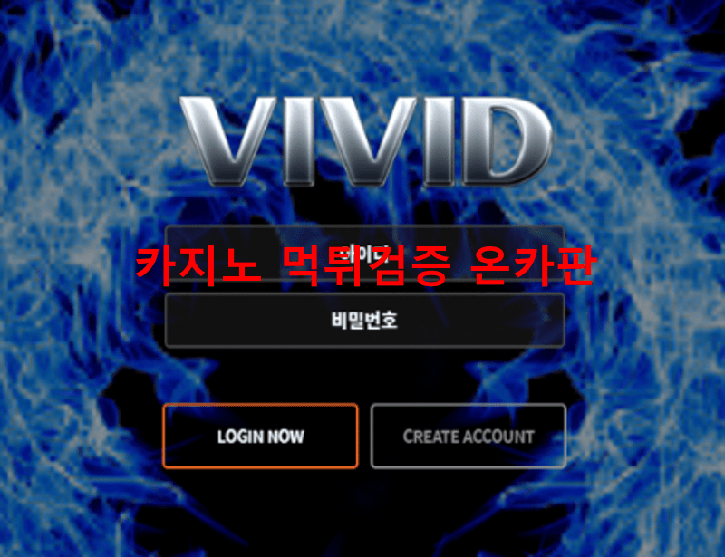 비비드먹튀