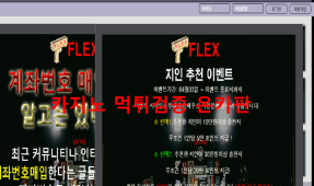 플렉스먹튀