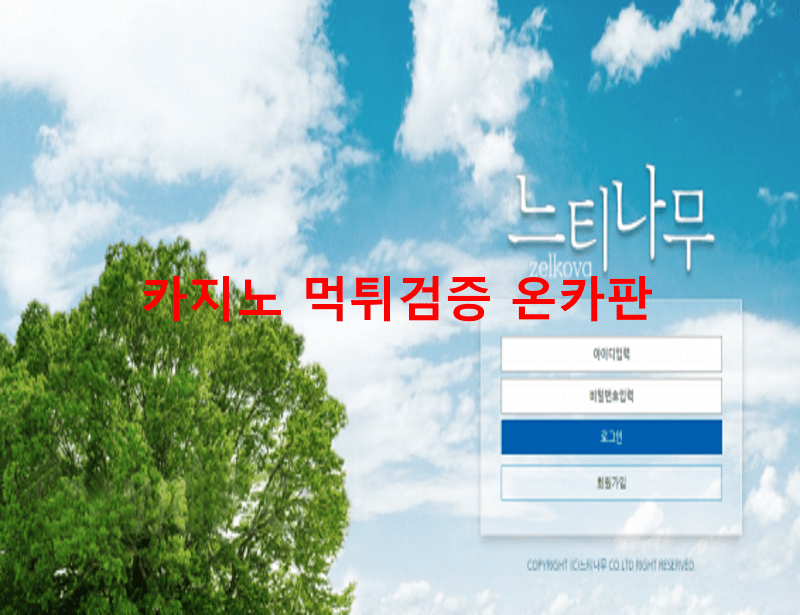 느티나무먹튀