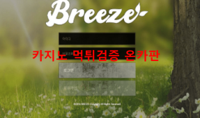 브리즈먹튀