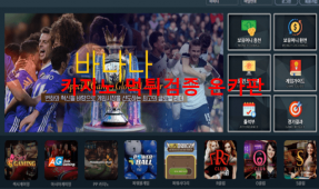 바나나먹튀