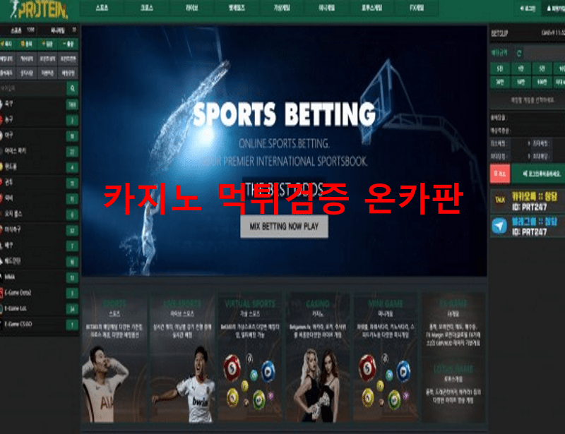 프로틴먹튀