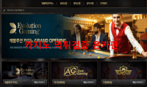 핏보스카지노먹튀