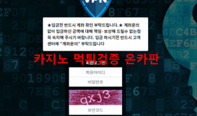 VPN먹튀