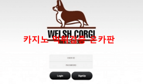 웰시코기먹튀