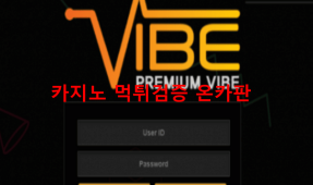 바이브먹튀