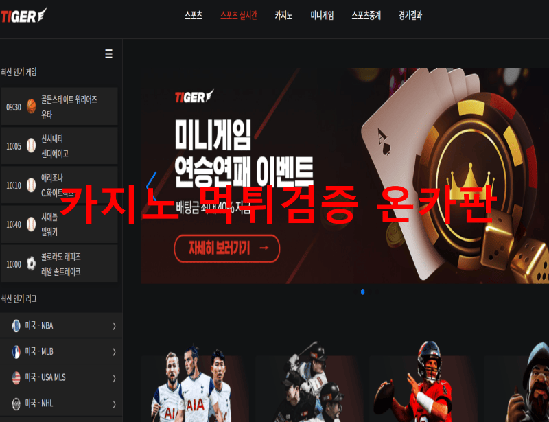 타이거먹튀