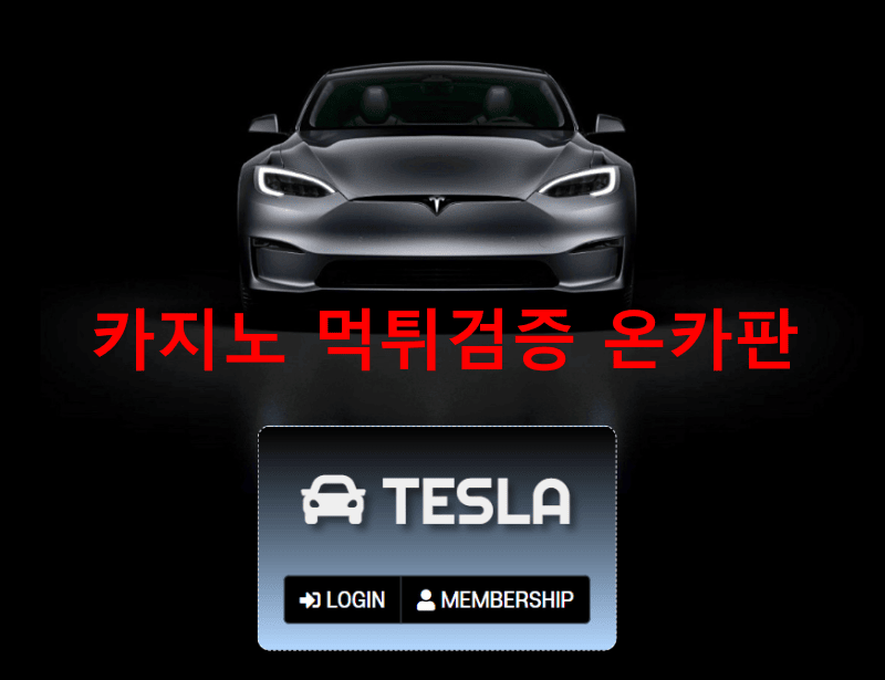 테슬라먹튀