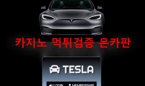 테슬라먹튀
