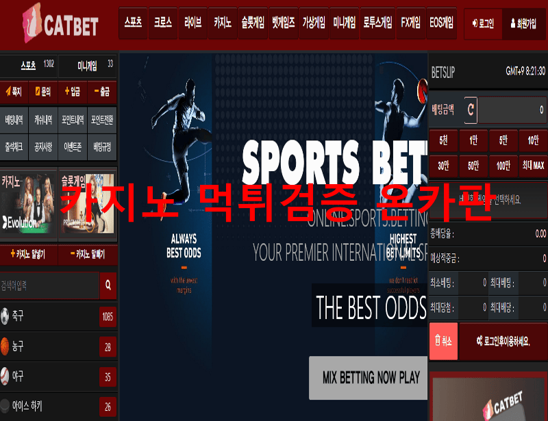 캣벳먹튀