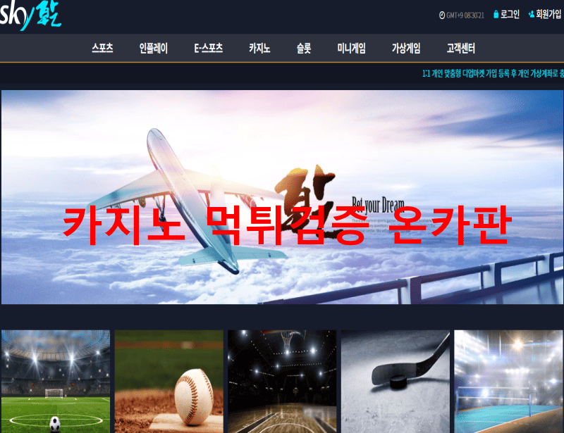 스카이먹튀