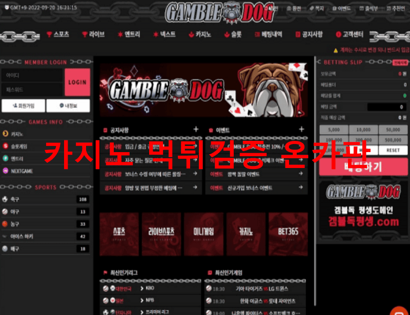 겜블독먹튀
