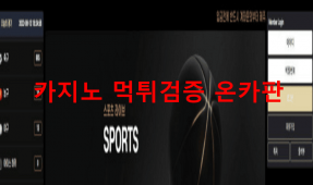 레이븐먹튀