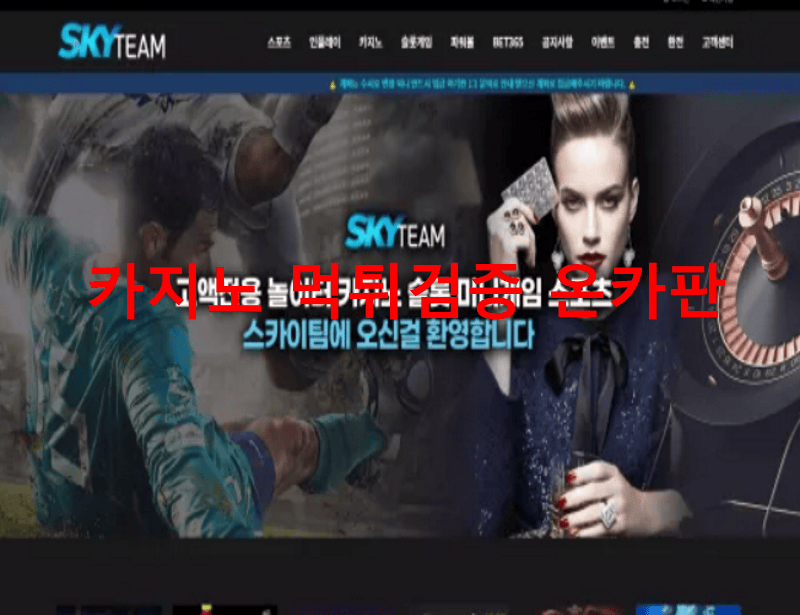 스카이팀먹튀