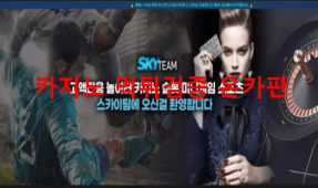 스카이팀먹튀