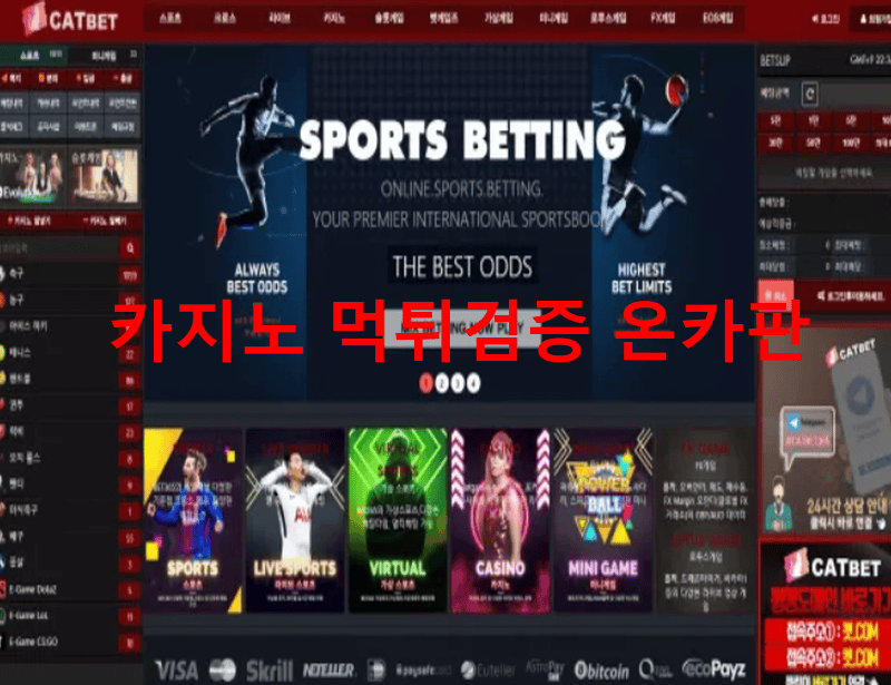 캣벳먹튀