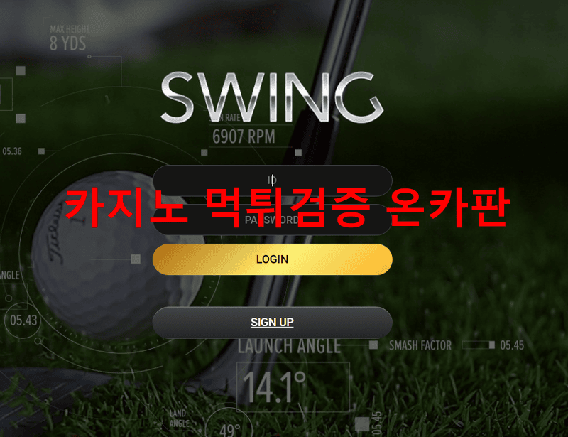 스윙먹튀