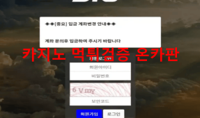 스카이먹튀