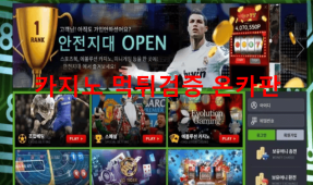 안전지대먹튀