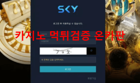 스카이먹튀