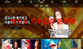 가우스먹튀