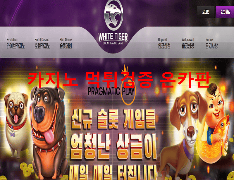 백호카지노먹튀