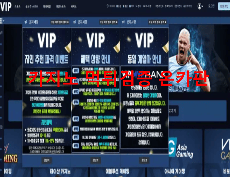 VIP먹튀