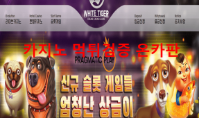 백호카지노먹튀
